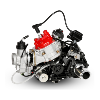 Preview: Rotax 125 MAX DD2