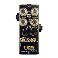 Preview: DSM Noisemaker Omnicabsim Mini