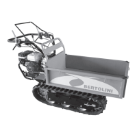 Preview: Bertolini BTR 450