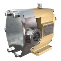 Preview: SPX TopLobe Series