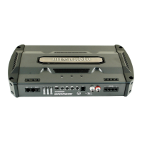 Preview: MTX RFL300 D