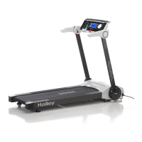 Preview: Halley Home Run 2.0