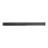 Preview: RODE Microphones NTG-2