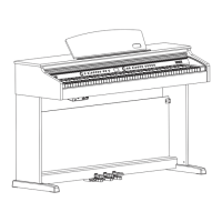 Preview: Artesia Dp-10e