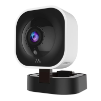 Preview: Momentum Codi