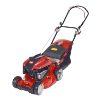 Preview: Toro Emotion