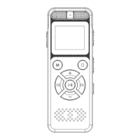 Preview: YULASS Y300