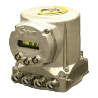 Preview: BIFFI IMVS2000v2