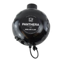 Preview: panthera Leo ASC