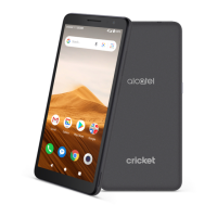 Preview: Cricket Alcatel APPRISE