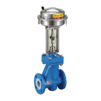 Preview: Flowserve Kammer 132000 Series