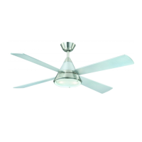 Preview: aireRyder Cosmos