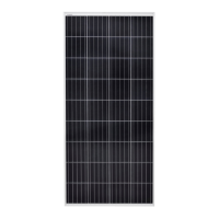 Preview: Hamron 007982