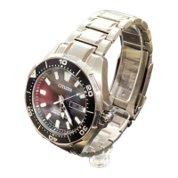 Preview: Citizen 8203