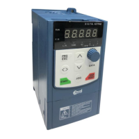 Preview: Pentax DSI-200 Series