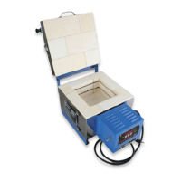 Preview: Paragon FireFly