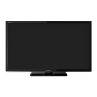 Preview: Sharp W/DIVX Series