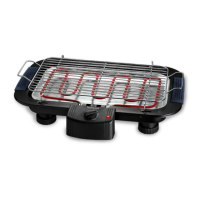 Preview: TECHWOOD TBQ-836P