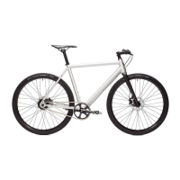 Preview: Ampler Curt 2019-2021