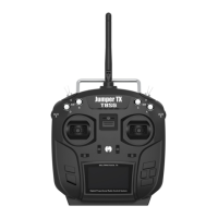 Preview: RadioMaster TX8