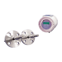 Preview: GE DigitalFlow XGS868 i