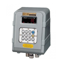 Preview: CAS EXP-2000 A