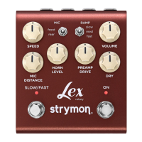 Preview: Strymon Lex