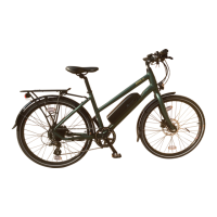 Preview: Batribike Nova S