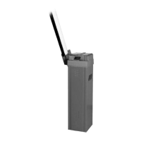 Preview: RIB RAPID S