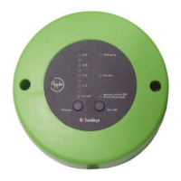 Preview: Sundaya Apple