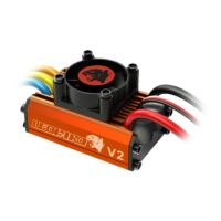 Preview: Skyrc Leopard v2