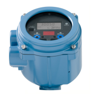 Preview: Emerson Micro-Motion 2400 S