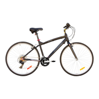 Preview: Infinity Boss.three 700c