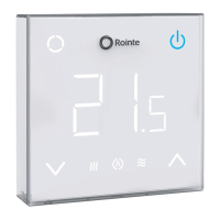 Preview: Rointe CT.2