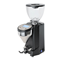 Preview: Conti Valerio Fausto