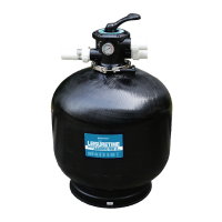 Preview: Pentair Onga Leisuretime II