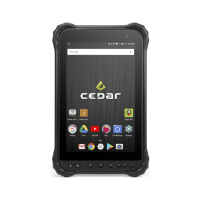 Preview: Juniper cedar CT8 X2