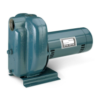 Preview: Pentair STA-RITE DS2 Series