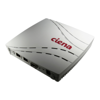 Preview: Ciena 3902