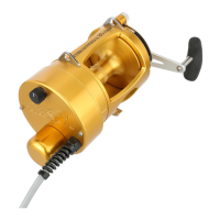 Preview: Hooker ELECTRIC HBL328 DCP