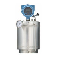 Preview: Emerson Micro Motion SGM