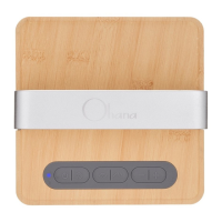 Preview: Ohana Kahuna