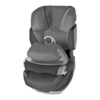 Preview: CYBEX PallaS