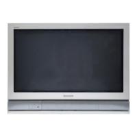 Preview: Panasonic TX-36 PG50 D