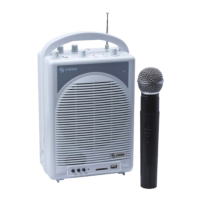 Preview: Steren AMP-012