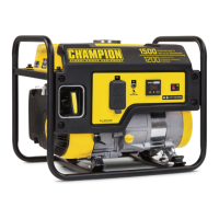 Preview: Champion 100458