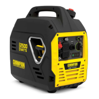 Preview: Champion 200950