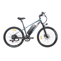 Preview: RATTAN COMPASS