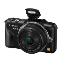 Preview: Panasonic DMC-GF3 CPP