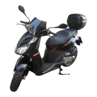 Preview: Derbi RAMBLA 250 i.e. 2008